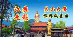 鸡巴骚网站江苏无锡灵山大佛旅游风景区